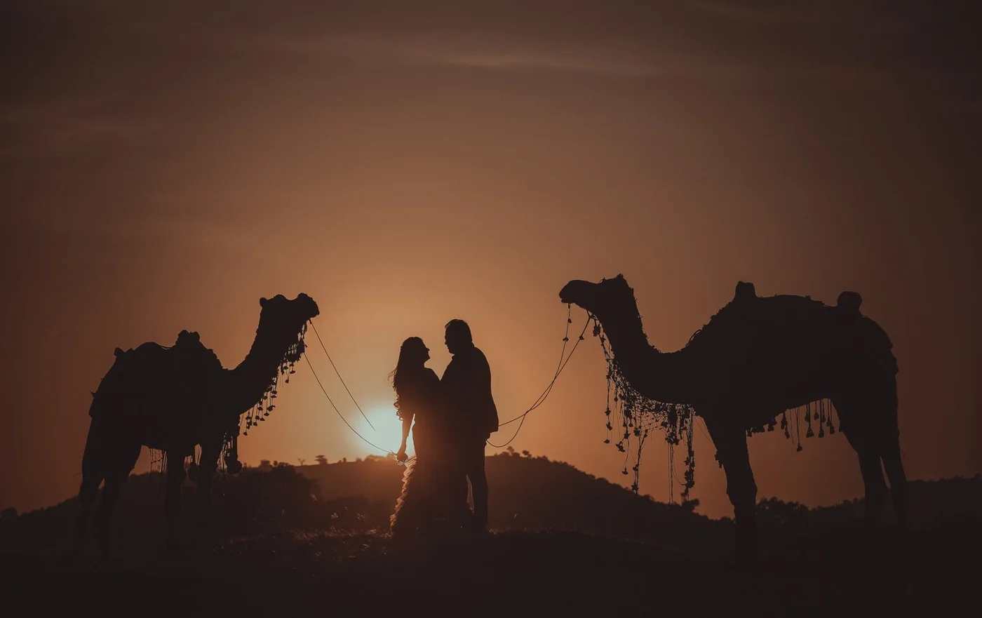 Silhouette of a couple holding hands between two decorated camels against a glowing orange sunset, cinematic pre-wedding shoot